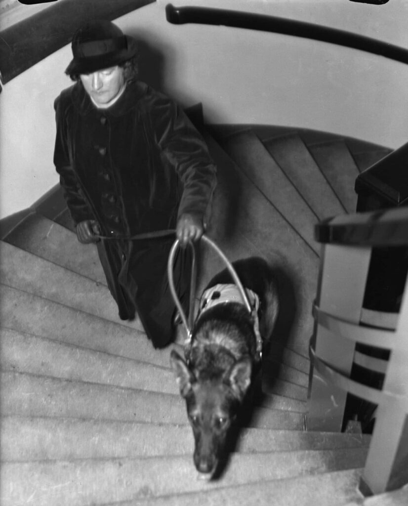 Kvinna klädd i hatt och kappa går tillsammans med en ledarhund upp för en trappa.